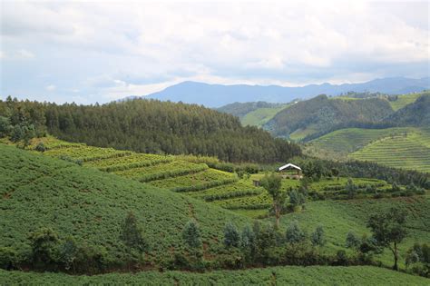 rwanda climate change policy